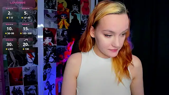 Ida_FaneStain webcam