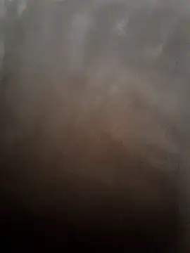 vishnuvinod_india webcam