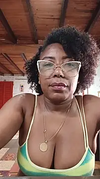 ChanneldelaCroix webcam