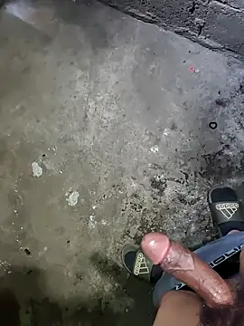 Senseimaster5 webcam