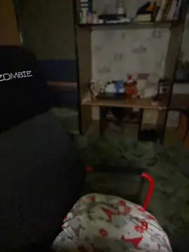 lalallalalaa- webcam