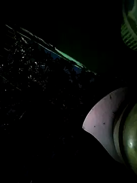 bhavna_pandit webcam