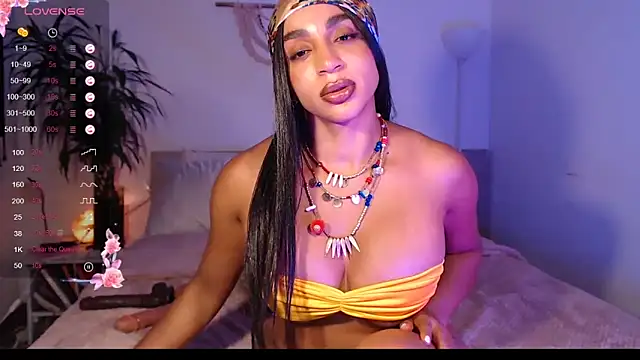 destinne_mill_ webcam