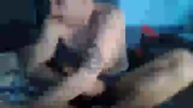 chceciedalsiebie webcam