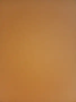 _Sex_enthusiast webcam