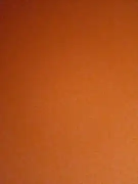 niyak_tatat696 webcam