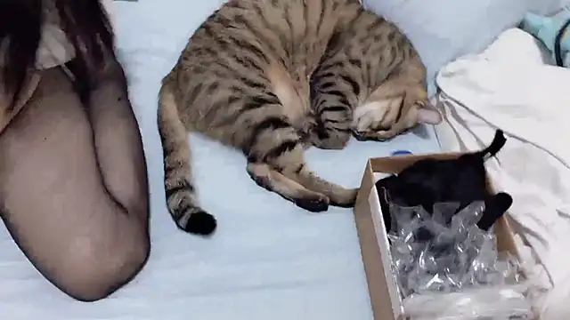 美女LHeart在线直播