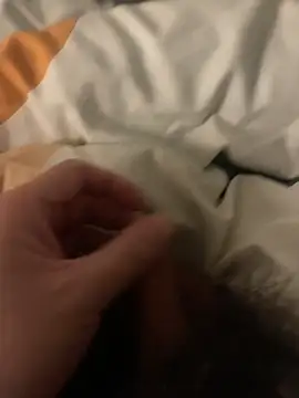 randysex188188 webcam