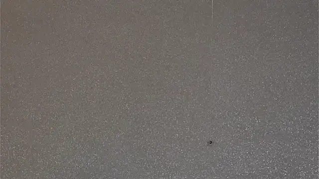 Alexa_Duque34 webcam