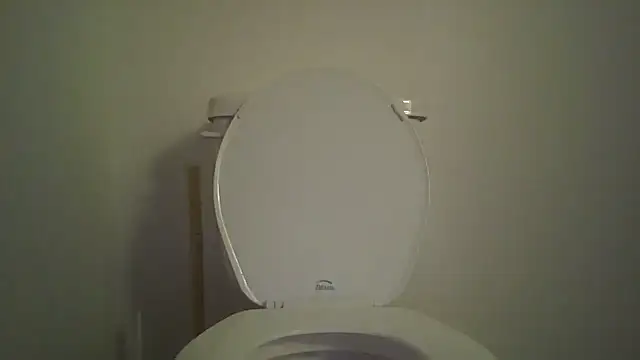 occasionalride1 webcam