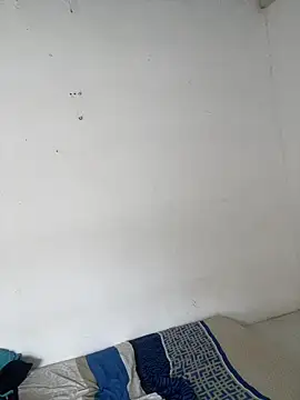 RAMONA_and_ROGER webcam