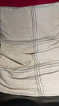 Bosssweet22cm webcam