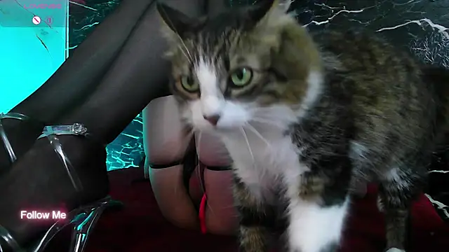 crislingery_dolli webcam