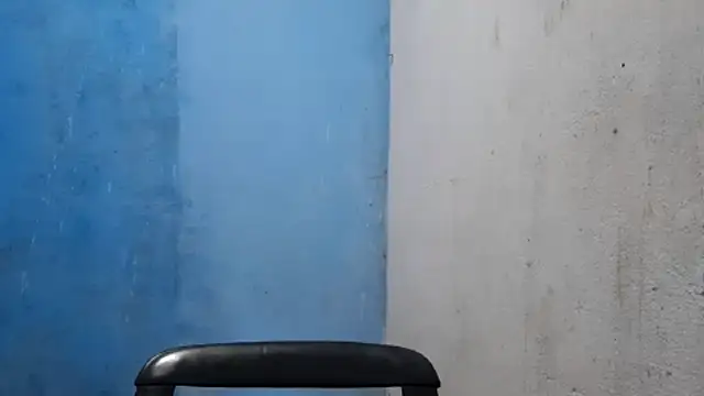 Preview of madelynstamant