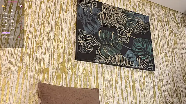 stift_milarc2 webcam