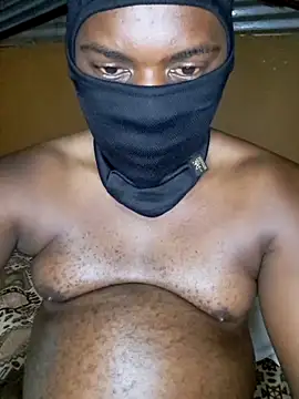 BlackMaskedBear webcam