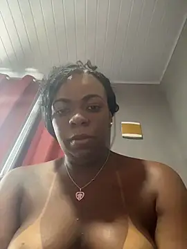 Priihmedeiros webcam