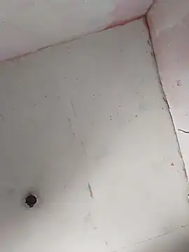 cobrosdepagos webcam