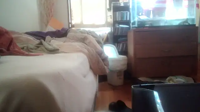 jumpingtomflash webcam