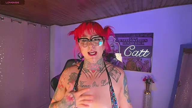 catt_monroe webcam