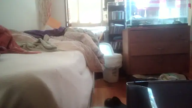 jumpingtomflash webcam