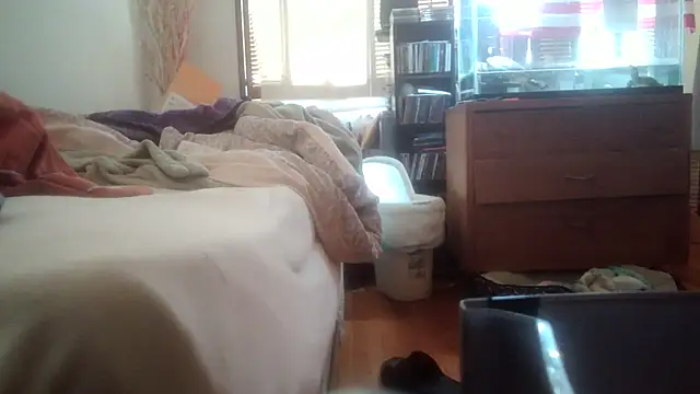 jumpingtomflash webcam