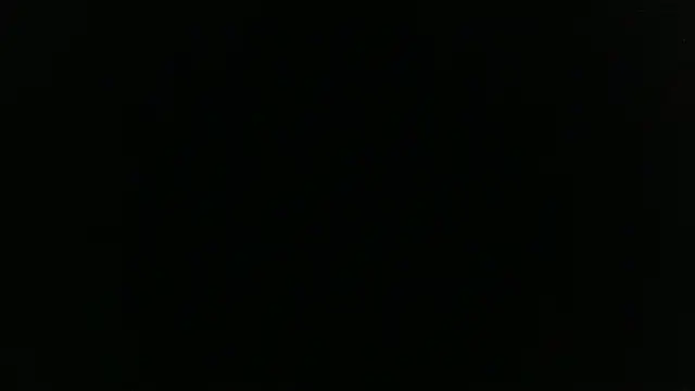 Winterslender webcam