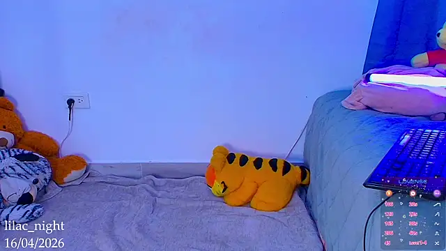 lilac_night33 webcam