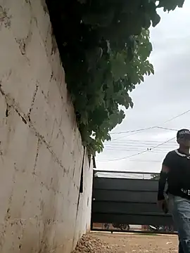 PIGHIGHDIRTY_p0 webcam