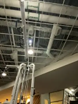 choclatepeaach webcam