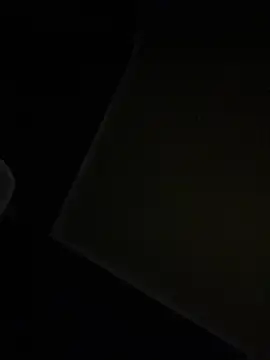 Preview of dingoding