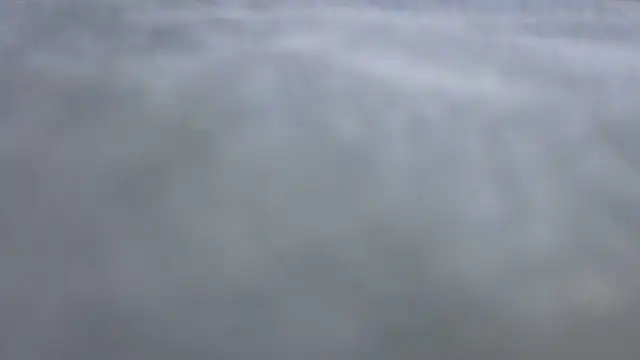 Liz_lollipop01 webcam