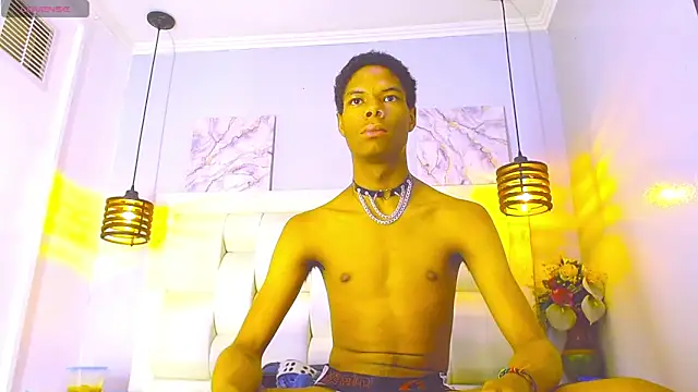 Santiago_Ortiz_ webcam