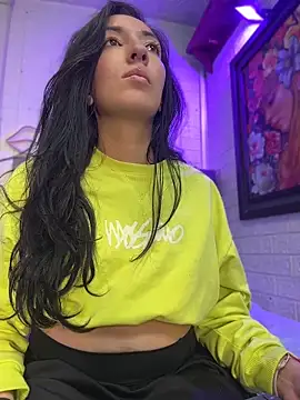 SALOME_KORLAND webcam