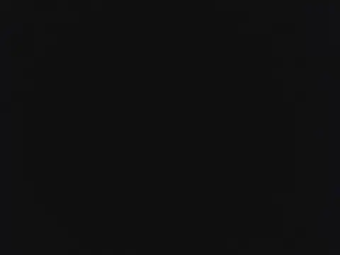 novilho18piroc webcam