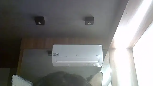 SkinnyKitten webcam