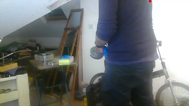 mista_sista_fista webcam