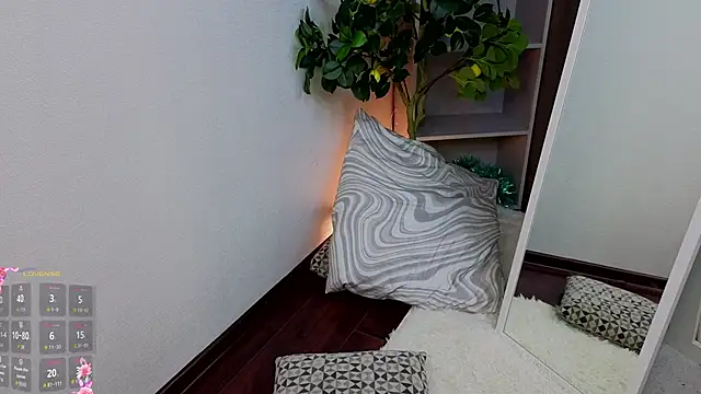 MaraBrookfieId webcam