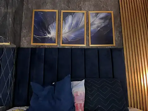 Lancelot_Benwick webcam