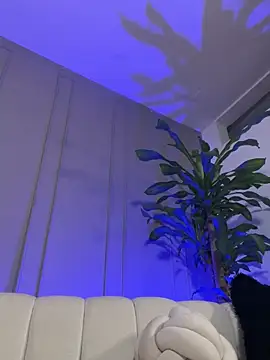 Frank_Farrell webcam