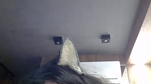 SkinnyKitten webcam