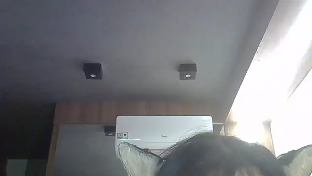 Preview of skinnykitten