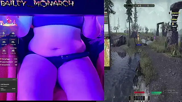 baileymonarch webcam