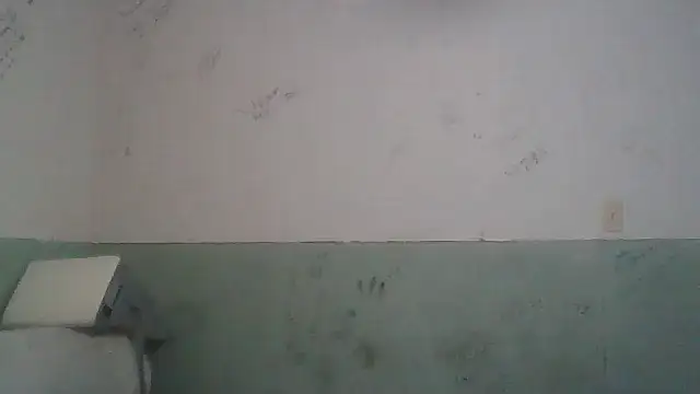 Toytroy197413 webcam