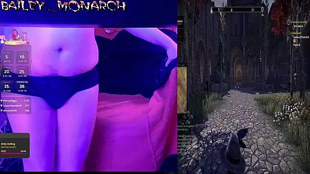 baileymonarch webcam