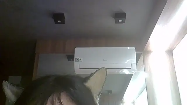 SkinnyKitten webcam