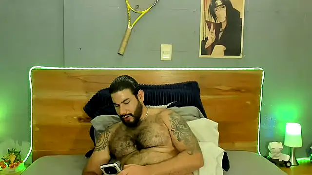 Prometeo-grizzly webcam