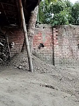 sweet-runi (F milf) - #69-position #anal #anal-asian #anal-doggy-style #anal-fisting #anal-indian #anal-milfs #anal-petite #asian #asian-blowjob #asian-foot-fetish #asian-milfs #bengali #big-ass #big-ass-anal #big-ass-asian #big-ass-big-tits #big-ass-doggy-style #big-ass-indian #big-ass-milfs #big-clit #big-nipples #big-nipples-milfs #big-tits #big-tits-anal #big-tits-asian #big-tits-blowjob #big-tits-brunettes #big-tits-doggy-style #big-tits-hairy #big-tits-indian #big-tits-milfs #big-tits-petite #blowjob #blowjob-milfs #brunettes #brunettes-blowjob #brunettes-milfs #brunettes-petite #cam2cam #cheapest-privates #cheapest-privates-asian #cheapest-privates-indian #cheapest-privates-milfs #cock-rating #cooking #cosplay #cosplay-milfs #cowgirl #cumshot #dildo-or-vibrator #dildo-or-vibrator-anal #dildo-or-vibrator-big-tits #dildo-or-vibrator-double-penetration #dildo-or-vibrator-milfs #dirty-talk #doggy-style #double-penetration #double-penetration-milfs #erotic-dance #facesitting #fisting #fisting-asian #fisting-indian #fisting-milfs #foot-fetish #foot-fetish-milfs #footjob #gape #goth #hairy #hairy-armpits #hairy-milfs #hindi #indian #indian-milfs #milfs #mobile #mobile-milfs #oil-show #petite #petite-asian #petite-indian #petite-milfs #role-play #role-play-milfs #romantic #romantic-asian #romantic-indian #romantic-milfs #sexting #shower #small-tits #small-tits-asian #small-tits-indian #small-tits-milfs #smoking #spanking #swingers #yoga #yoga-milfs