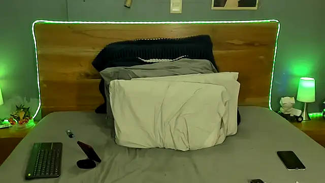 Prometeo-grizzly webcam