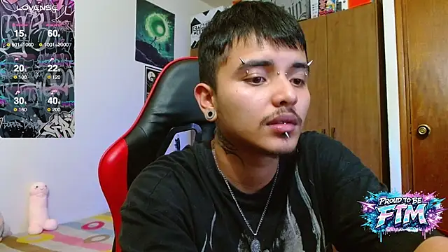 Hgp3riodictabl3 webcam